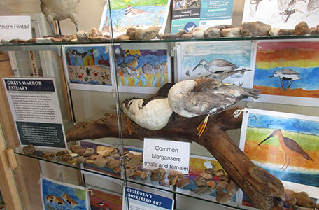 Birds and Nature by the Coastal Interpretive Center